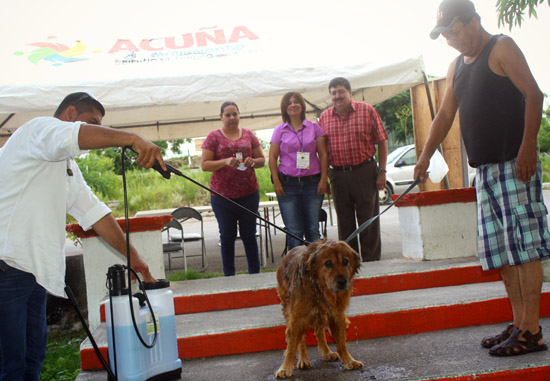 Continúa dirección de salud municipal con éxito la campaña: “Cuida tu Mascota” 