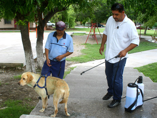 Continúa dirección de salud municipal con éxito la campaña: “Cuida tu Mascota” 