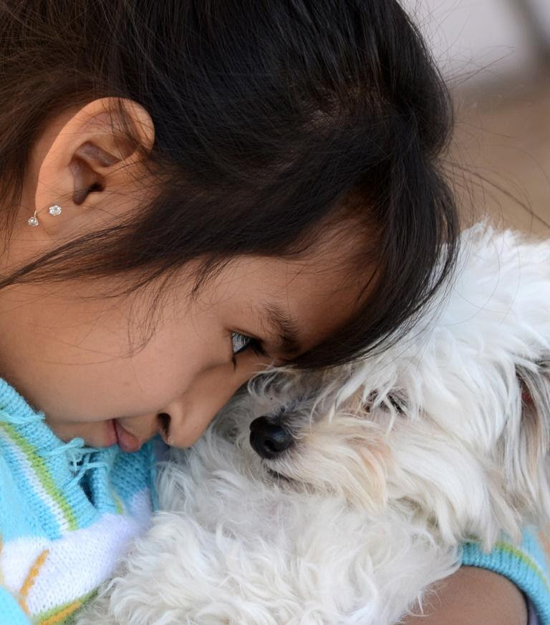Invita Salud Municipal a esterilizar a las mascotas 