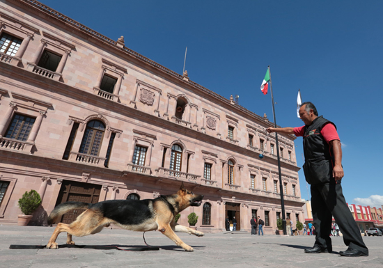 El gobierno de Coahuila mantiene acuerdos con Asociaciones Protectoras de Animales 