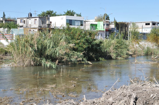 El Río Monclova tiene vida, muestra una imagen bella a la ciudad 