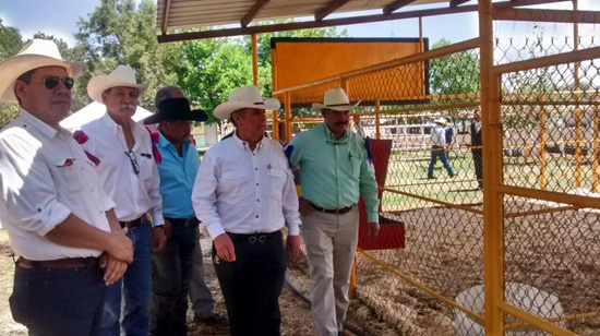 Productores de Hungría y Australia de Ganado Charolais Reconocen la Calidad Genética del Ganado de Coahuila 