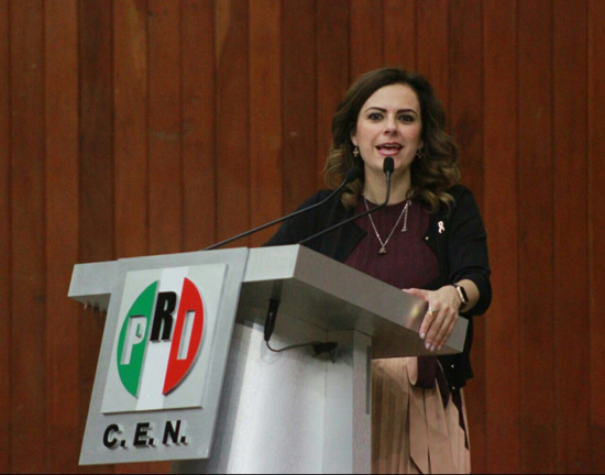 Las mujeres latinoamericanas unidas para acceder a mayores espacios de participación política: Janet Camilo 