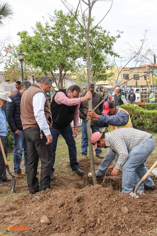 Inician proyecto de reforestación de la plaza Benjamín Canales 