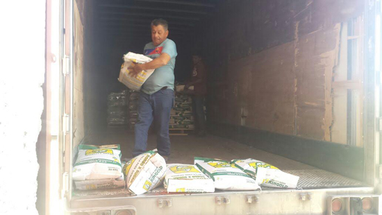 Ofertarán 10 toneladas de semilla de sorgo forrajero para productores del campo 