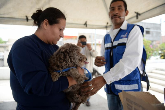 Vacunarán a mascotas en la Miguel Hidalgo 