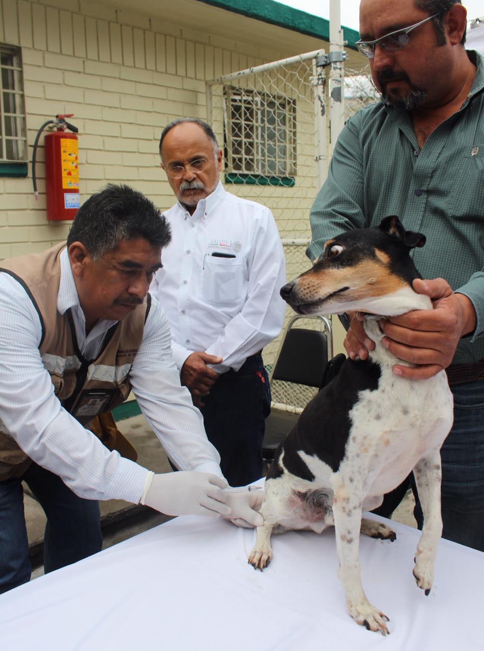 Alista Coahuila Semana de Vacunación Antirrábica para perros y gatos