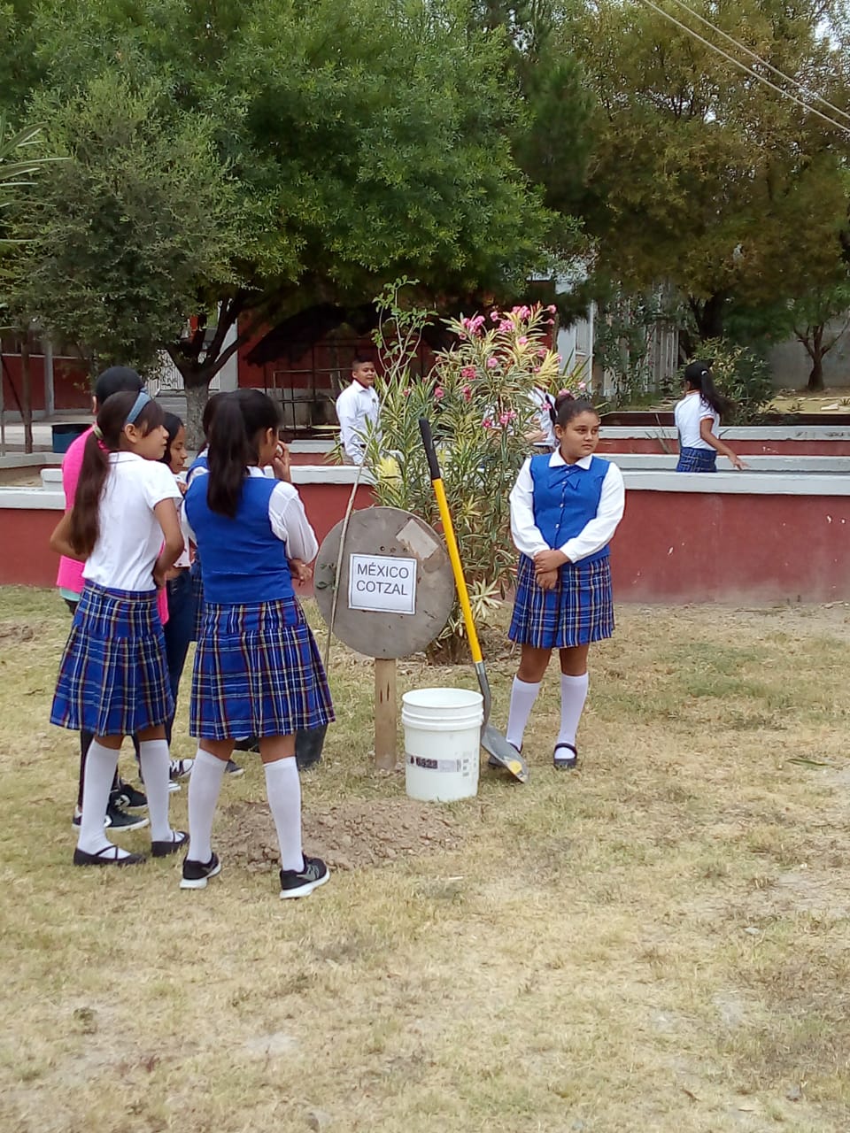 Pueblos latinos plantan árboles por la paz e intercambian preseas con autoridad municipal