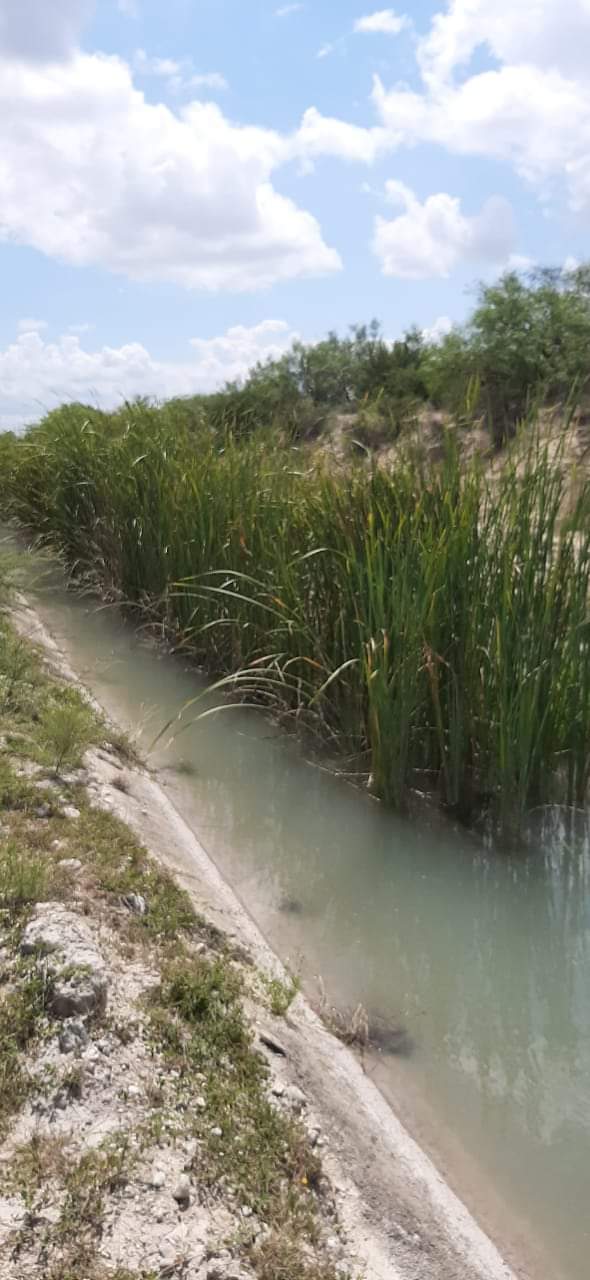 Piden productores  agrícolas apoyo para desazolvar canales de riego