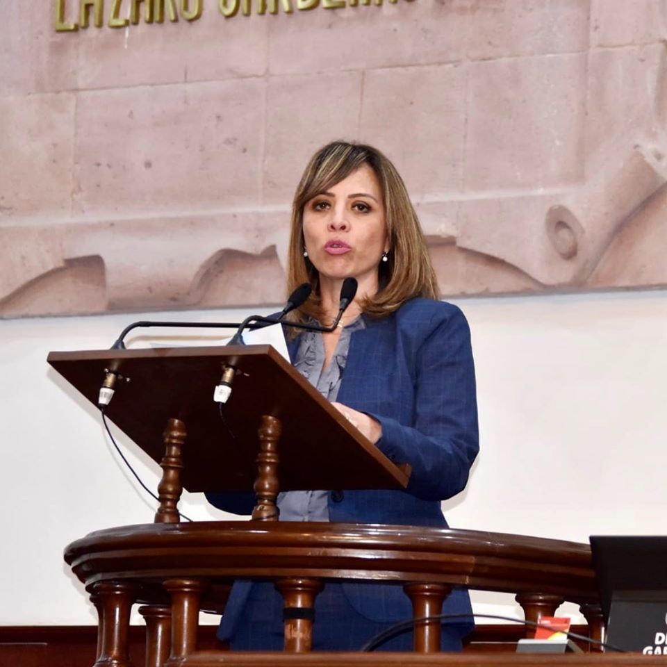 Solicita Zulma Guerrero y García Villa se considere temporalmente credencial INE en sustitución de INAPAM