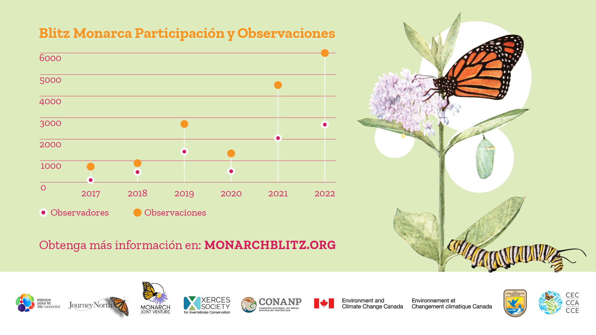 Gran apoyo a las tareas de conservación de la mariposa monarca